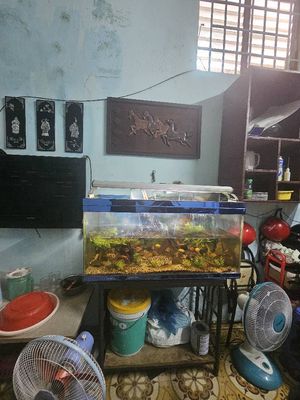 Nhà Đường Lê Văn Sỹ Phú Nhuận  Ngang 4m dài 28m hơn 9 tỷ. Mua bán nhà ở tại Quận Phú Nhuận Tp Hồ Chí Minh được đăng bởi Trương Quốc Trí