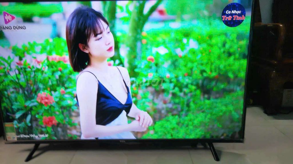 smart tv TCL43IN 4k Giọng nói youtube nhanh. Mua bán Tivi, Âm thanh tại Huyện Bình Chánh Tp Hồ Chí Minh được đăng bởi bán mau lẹ hình 1