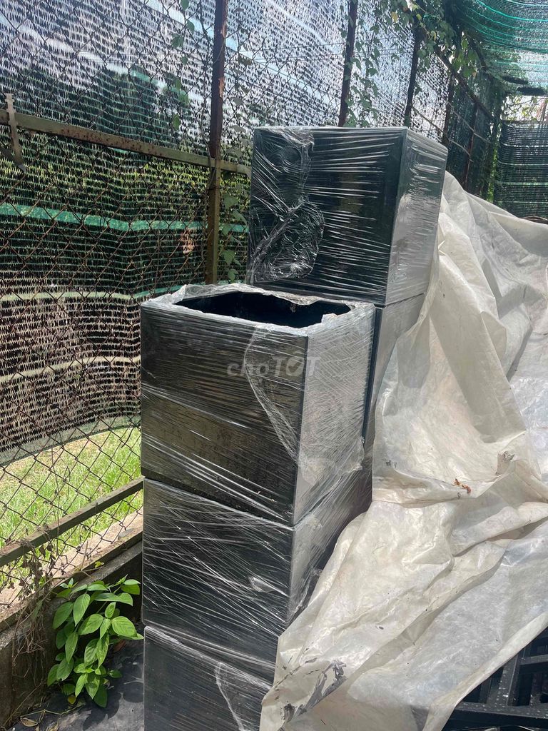 Chậu cây xi măng đá mài Đen. Mua bán Cây cảnh, đồ trang trí tại Thành phố Thủ Đức Tp Hồ Chí Minh được đăng bởi Bảo hình 1