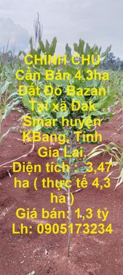 Cần Bán 4,3ha Đất Đỏ Bazan Tại xã Đak Smar huyện KBang, Tỉnh Gia Lai