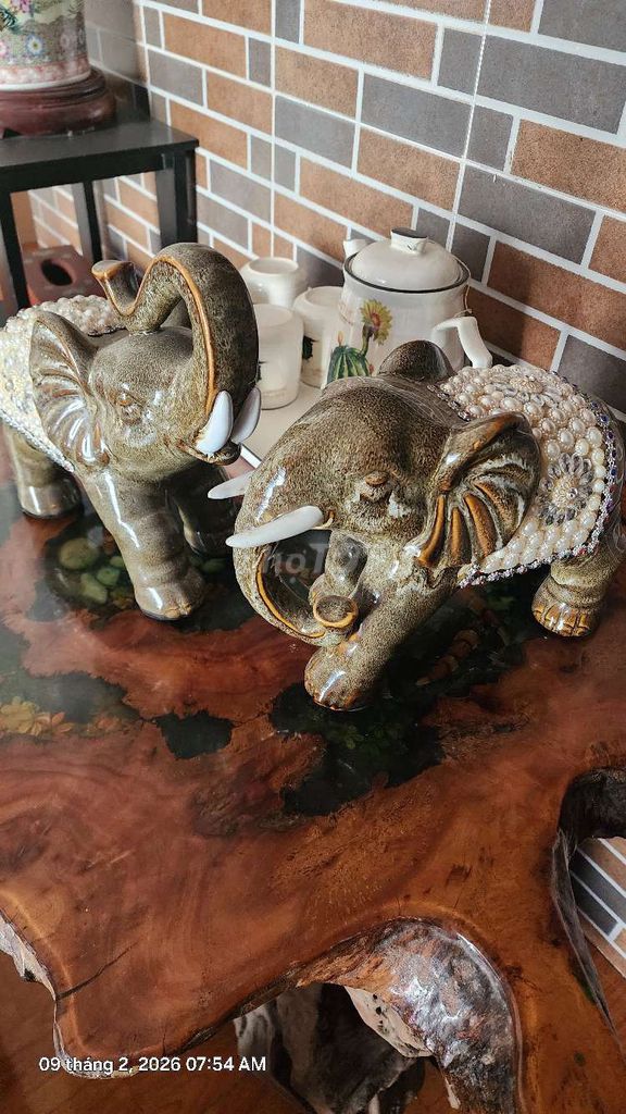Tượng trang trí gốm sứ Con voi. Mua bán Cây cảnh, đồ trang trí tại Thành phố Thuận An Bình Dương được đăng bởi Du Tran hình 1