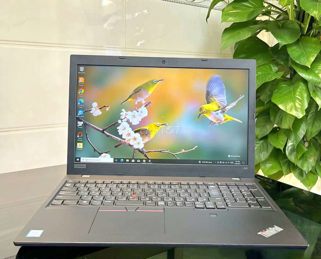 Trâu cày Thinkpad L580 siêu mượt. Mua bán Laptop tại Thành phố Vũng Tàu Bà Rịa - Vũng Tàu được đăng bởi Anh Bảy LC hình 1