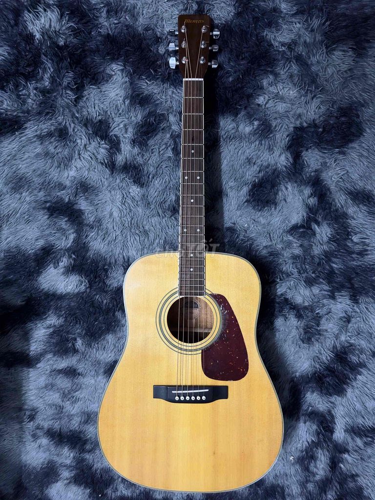 Đàn guitar Morris MD-251. Mua bán Nhạc cụ tại Quận Gò Vấp Tp Hồ Chí Minh được đăng bởi Phạm Phú Cường hình 1