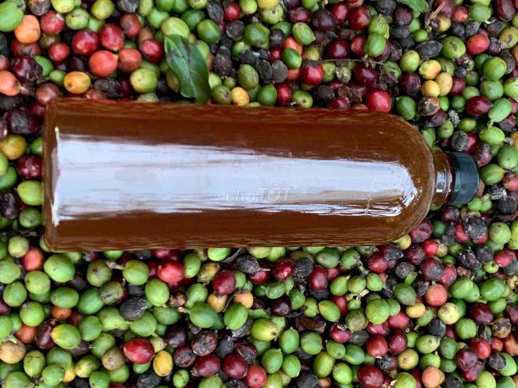 Mật Cà phê 81/L Gia Lai. Mua bán Đồ ăn, thực phẩm và các loại khác tại Quận 1 Tp Hồ Chí Minh được đăng bởi Hoàng Phượng  hình 2