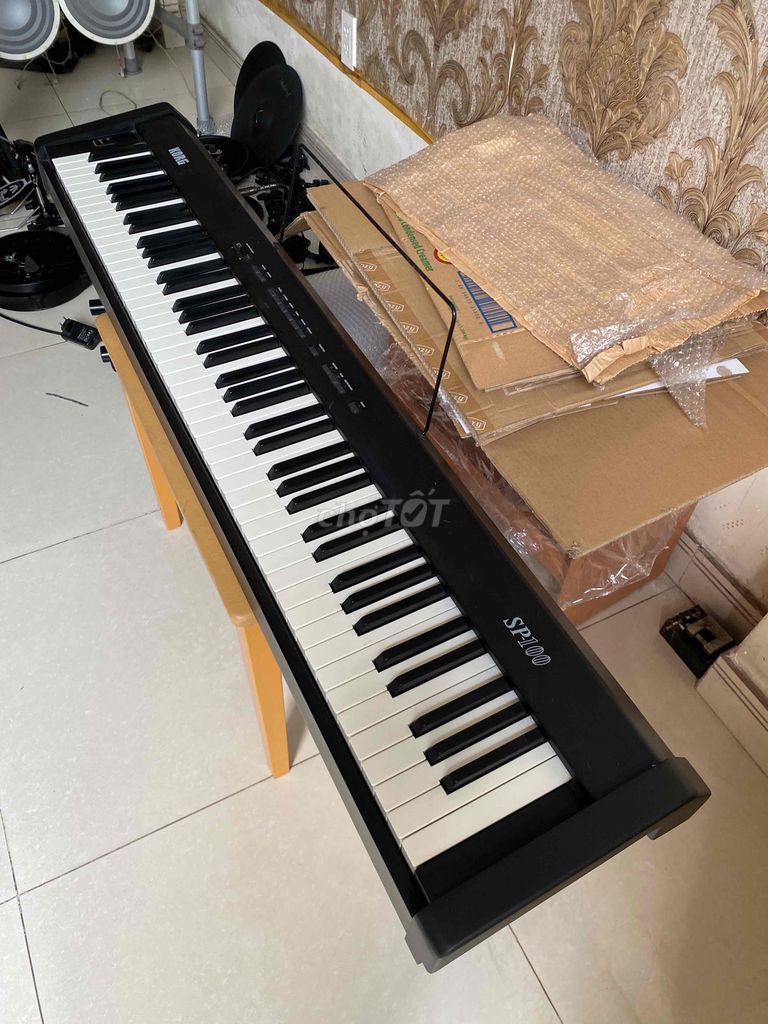 Korg SP100 chuyên tiếng