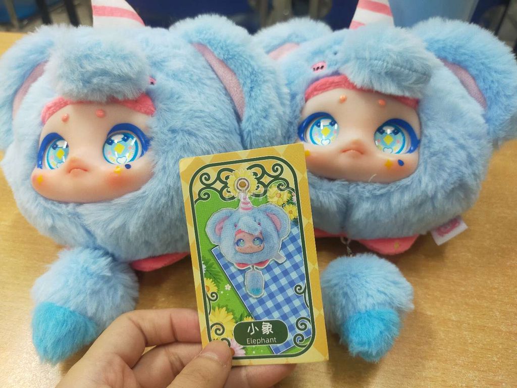 Blind box voi xanh mắt đẹp