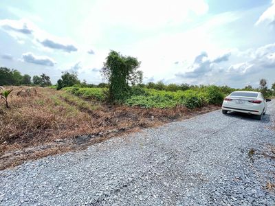 600m2 Đất vườn đang trồng chanh,xã Bình Đức,Bến Lức,Đường ô tô tận noi. Mua bán đất tại Huyện Bến Lức Long An được đăng bởi KIỀU OANH