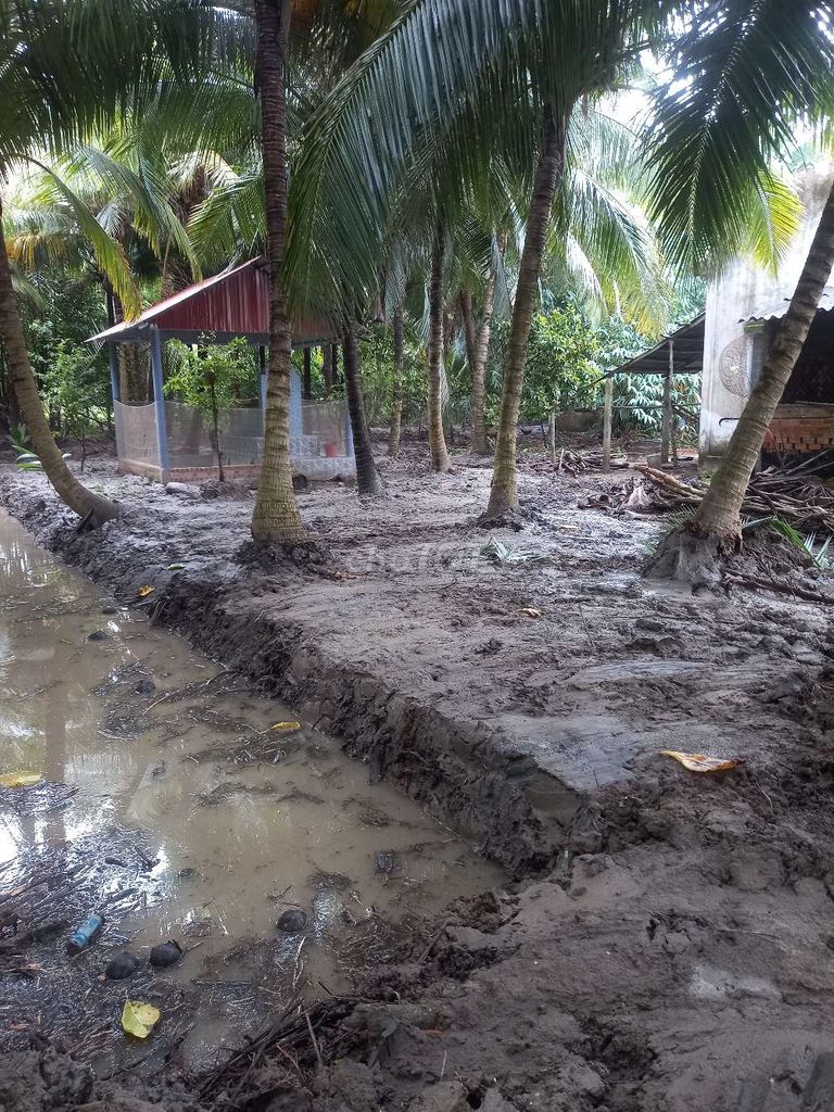 Xe chất bãi nhật. Mua bán Phương tiện khác tại Huyện Mỏ Cày Bắc Bến Tre được đăng bởi vang anh hình 7