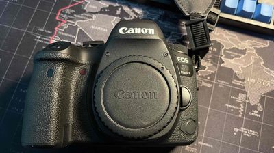 canon 6D2 lens 85 f1.8 99%