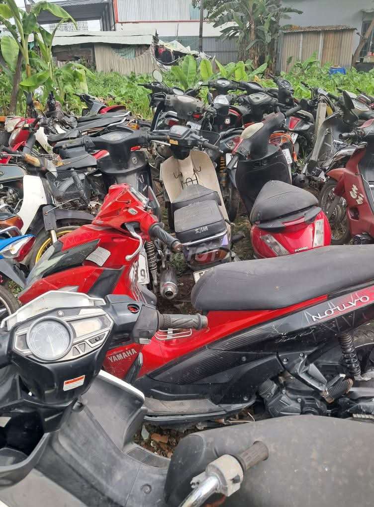 MUA các loại xe máy hư hỏng, cũ xì,xe để lâu ko đi