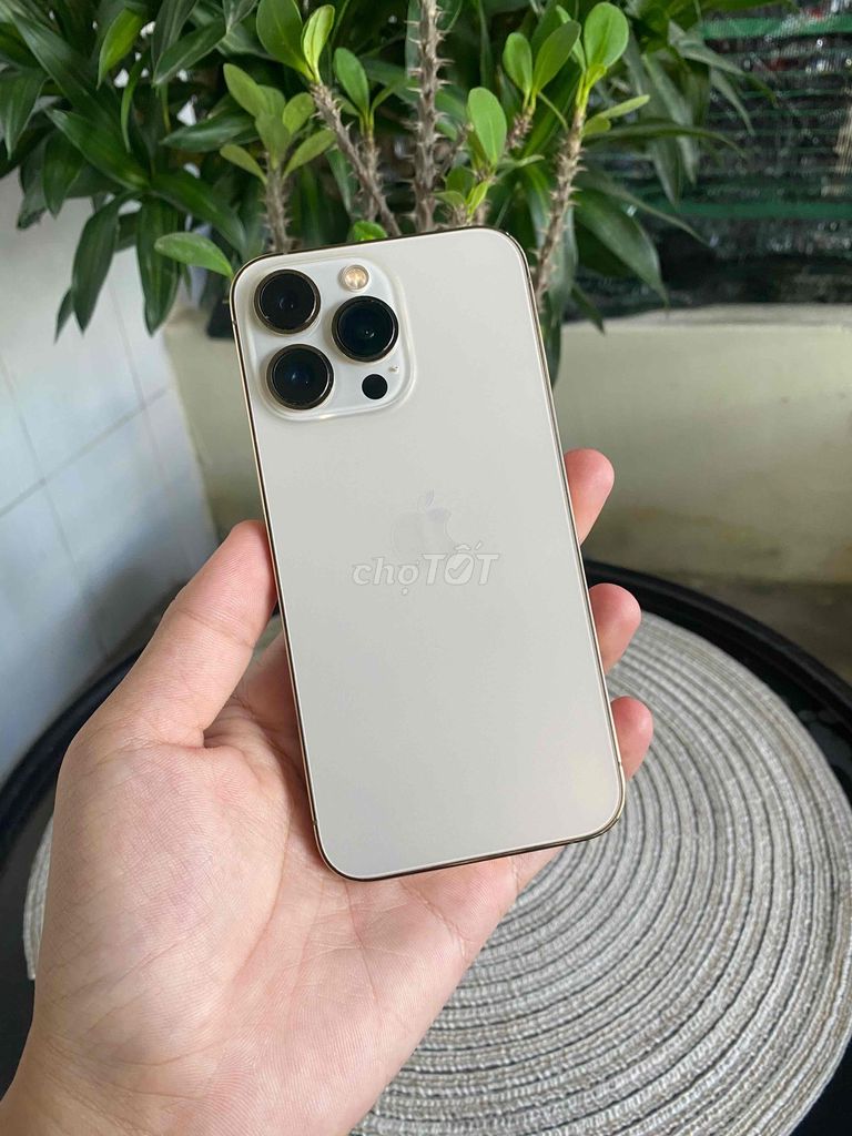 iPhone 13 Pro 256GB ゴールド ヌードプロテクト施工済み iPhone 13