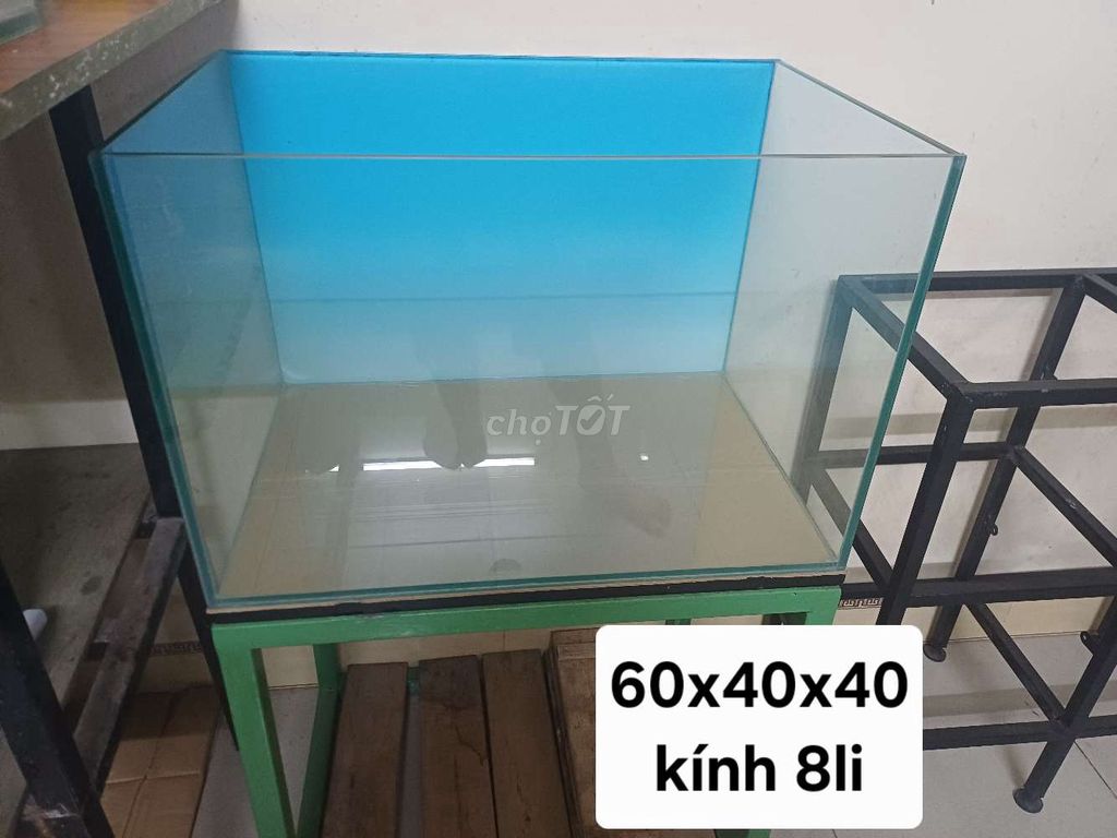 Bể kính Vietnhat 60x40x40 cm 8 li. Mua bán Phụ kiện, Thức ăn, Dịch vụ tại Quận Thanh Xuân Hà Nội được đăng bởi alo tớ nè hình 1