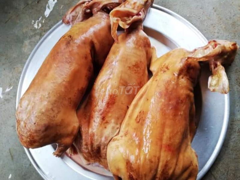 Bán thỏ thịt tươi, thỏ nướng sỉ lẻ Q.8, TP HCM