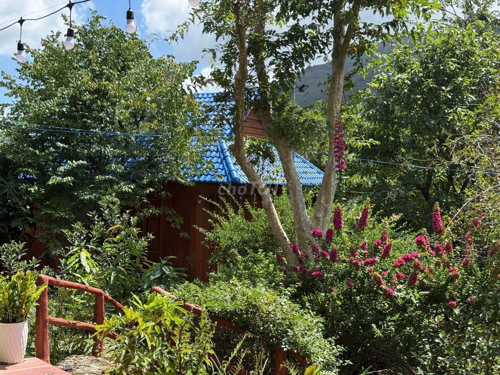 Cho thuê nhà vườn Phước Đồng 2.000m² – Giá 19 triệu/tháng