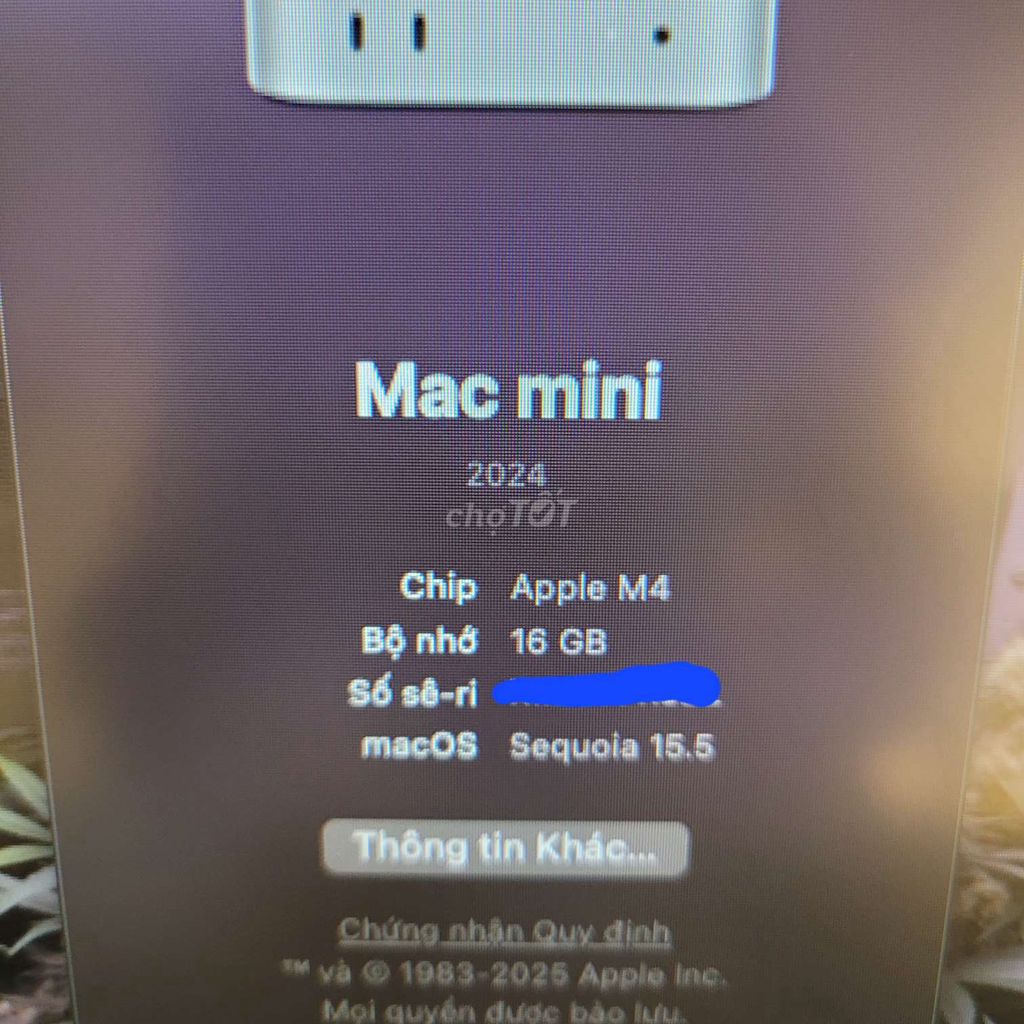 Mac mini m4 - đẹp như mới - full box. Mua bán Máy tính để bàn tại Thành phố Bà Rịa Bà Rịa - Vũng Tàu được đăng bởi Long hình 2