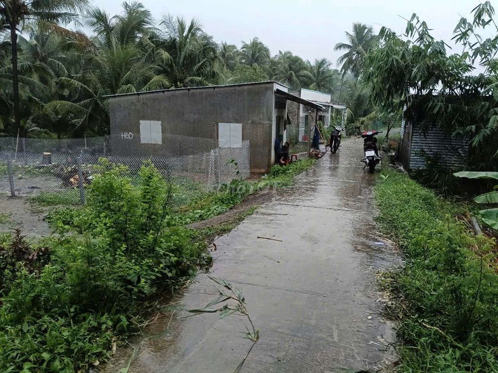 Bán đất cây lâu năm 300.1m nở hậu 16m