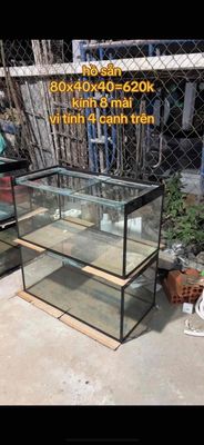 Bể cá Kính 80x40x40 cm. Mua bán Phụ kiện, Thức ăn, Dịch vụ tại Thị xã Bến Cát Bình Dương được đăng bởi lê tuấn linh