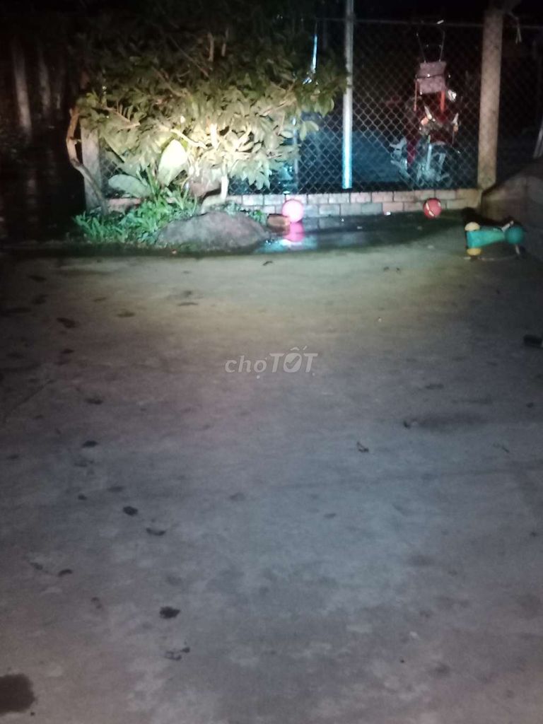 Đèn bi cầu trợ sáng bao gắn tận nhà.. Mua bán Phụ tùng xe tại Huyện Long Hồ Vĩnh Long được đăng bởi trương thị kiều anh hình 4