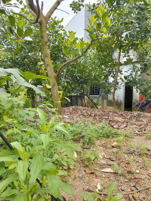 Đất 77 m² · Đường Thanh Vinh 4