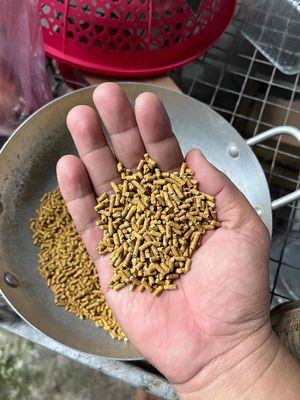 thức ăn gà. Mua bán Phụ kiện, Thức ăn, Dịch vụ tại Huyện Long Hồ Vĩnh Long được đăng bởi  Lê