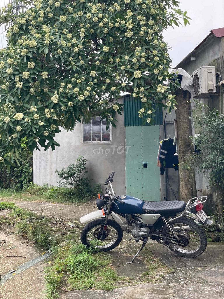 bán win detech độ dáng cào cào. Mua bán Xe máy tại Huyện Thái Thụy Thái Bình được đăng bởi Phạm Quý hình 2