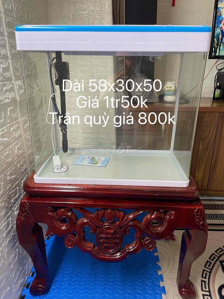 Bể cá cảnh Mingiang Kính Trong suốt. Mua bán Phụ kiện, Thức ăn, Dịch vụ tại Quận Hoàn Kiếm Hà Nội được đăng bởi nguyên ngoc long hình 1