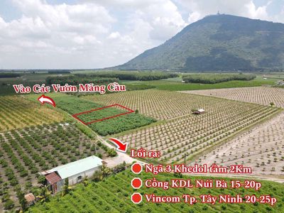 Suối Đá- DMC dt 25*42m view núi bà đẹp lung linh chỉ 359tr. Mua bán đất tại Huyện Dương Minh Châu Tây Ninh được đăng bởi Dương Lượng BĐS