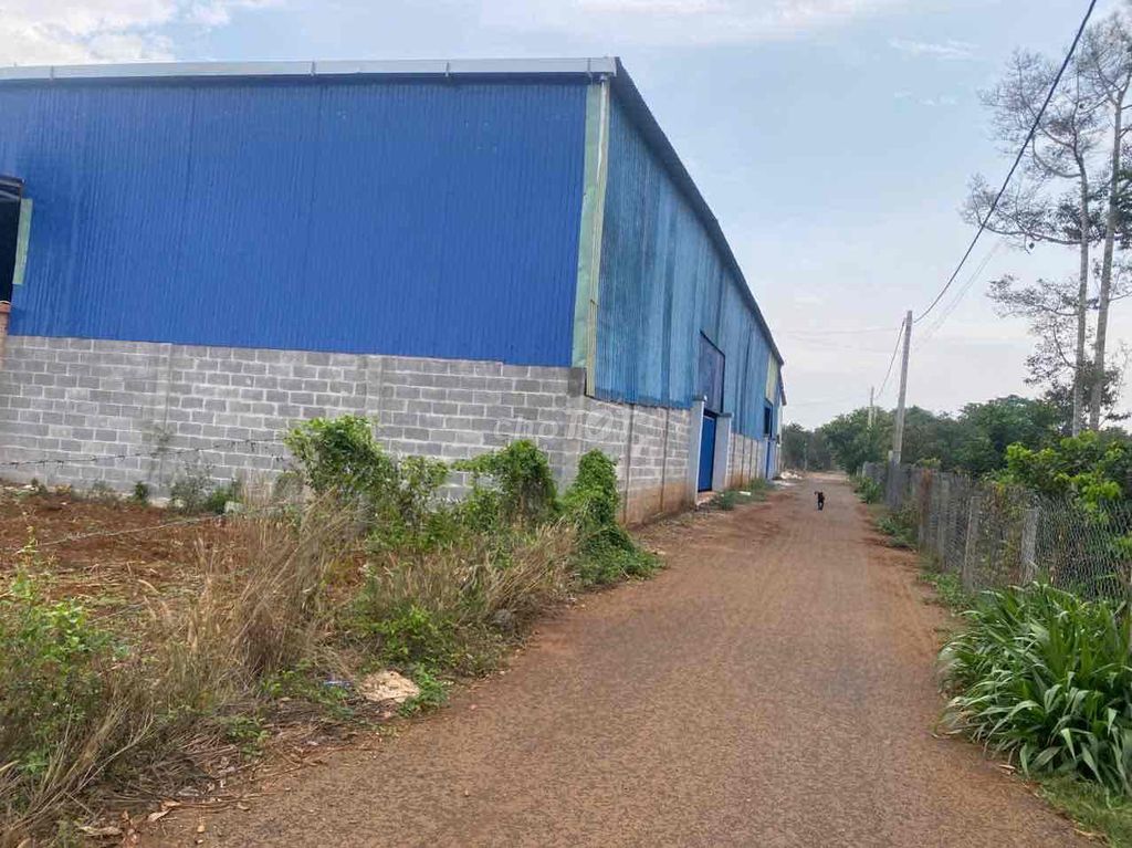 Cho thuê kho xưởng giá tốt hàng hiếm có 2000m/30tr. Cho thuê văn phòng, mặt bằng kinh doanh tại Huyện Châu Đức Bà Rịa - Vũng Tàu được đăng bởi VÔ THƯỜNG hình 1