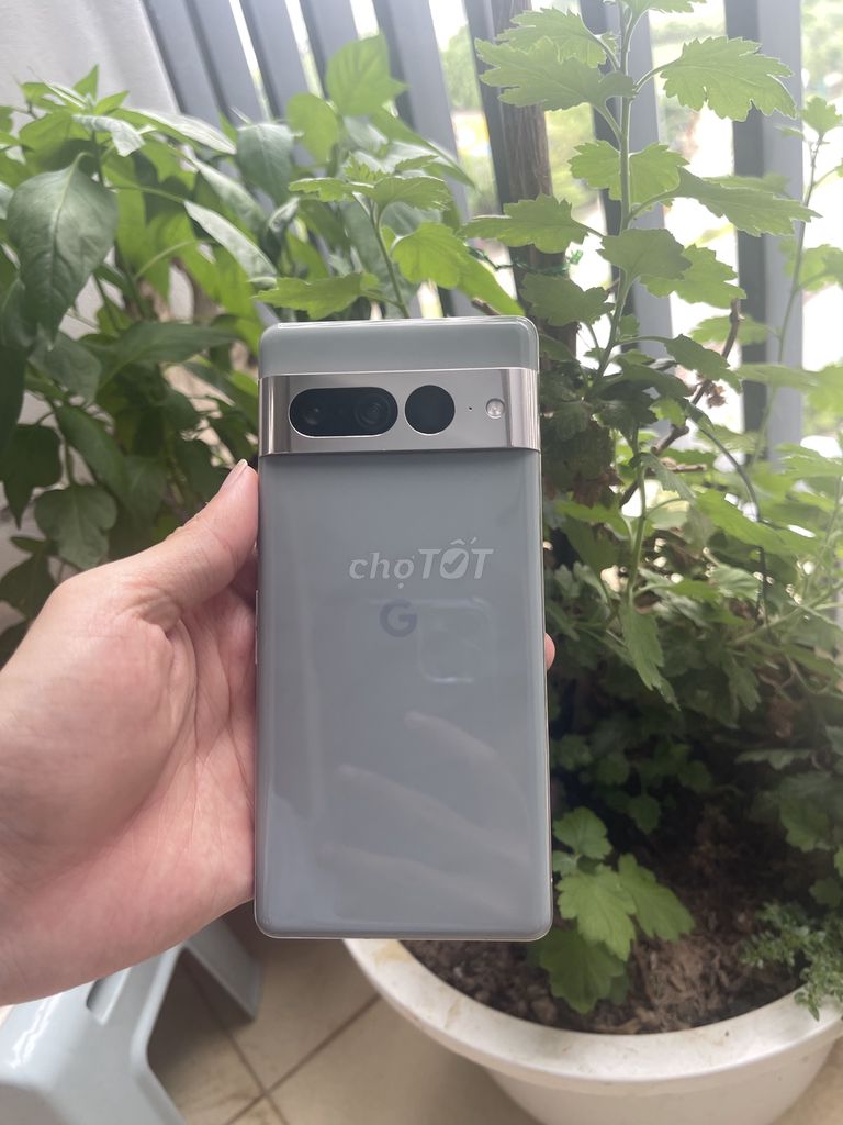 Google Pixel 7 Pro 256GB Xám 99% mới. Mua bán Điện thoại tại Thành phố Hòa Bình Hòa Bình được đăng bởi Quang Vũ Duy hình 1