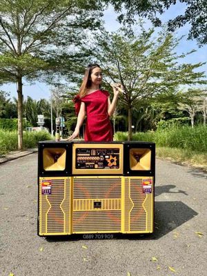 cần thanh lý loa karaoke. Mua bán Tivi, Âm thanh tại Quận Tân Phú Tp Hồ Chí Minh được đăng bởi hằng nguyễn 92