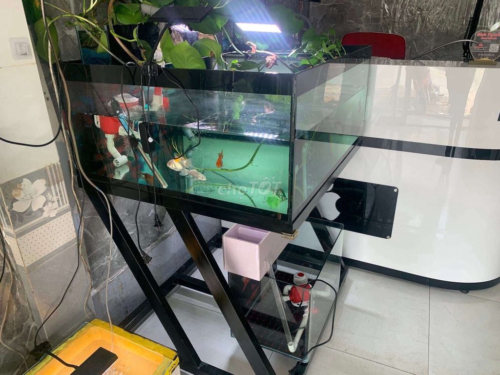 hồ 86x83x38 bả keo đen 4 mặt tranh 3d full 8 li. Mua bán Phụ kiện, Thức ăn, Dịch vụ tại Thành phố Vĩnh Long Vĩnh Long được đăng bởi Đỉnh Nguyễn hình 1
