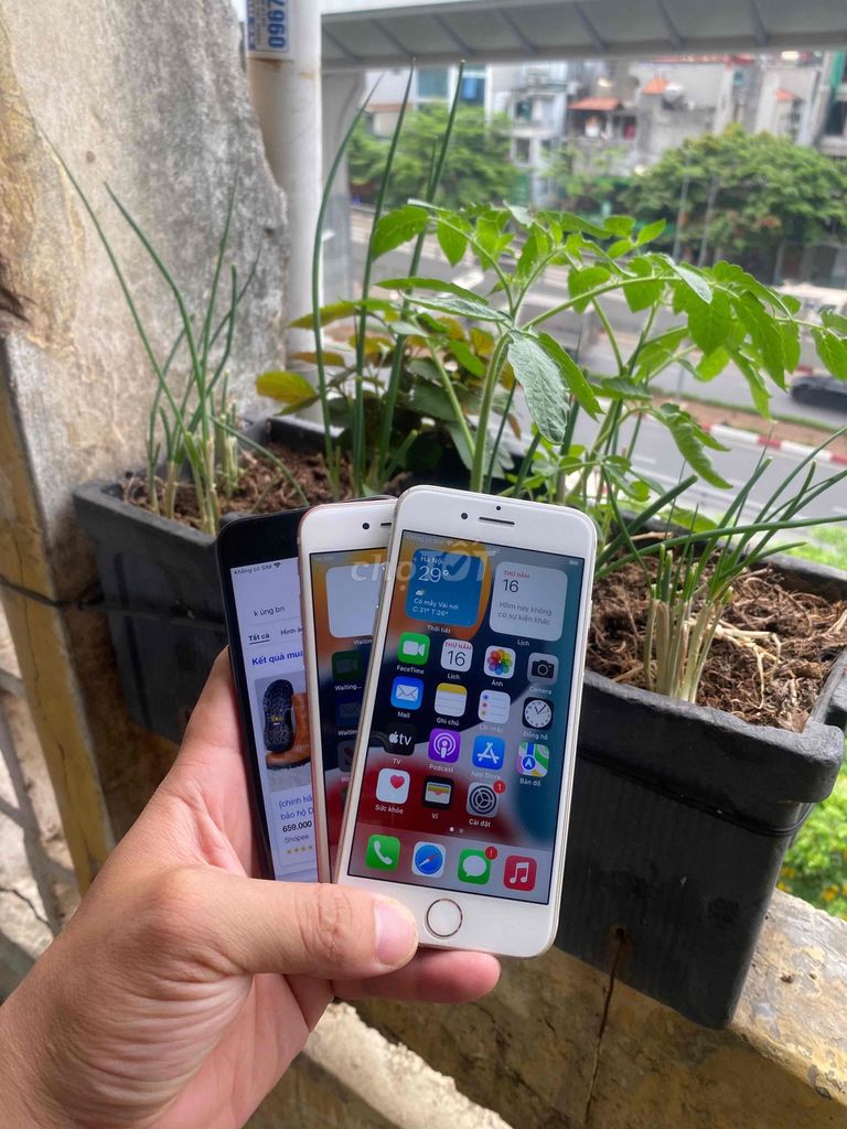 Apple iPhone 7G Đen, Vàng hồng, Trắng. Mua bán Điện thoại tại Quận Hai Bà Trưng Hà Nội được đăng bởi Bùi Tuy MobileLaptop hình 1