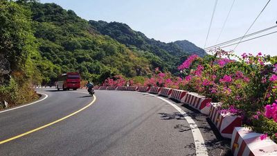 Bán 1500m2 đất kinh doanh dịch vụ , mặt đường du lịch xuyên đảo Cát Bà. Mua bán đất tại Huyện Cát Hải Hải Phòng được đăng bởi a di da phat