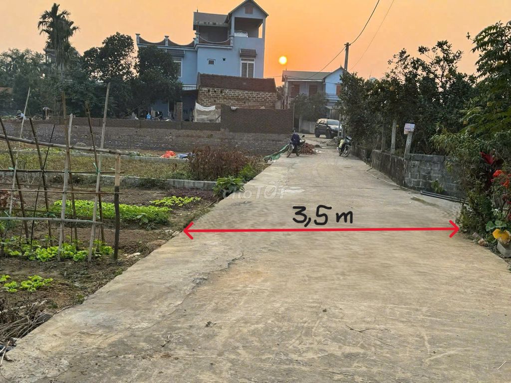 Chính chủ lô đất tại Thôn 3, Phú Cát, Hà Nội - ảnh 4
