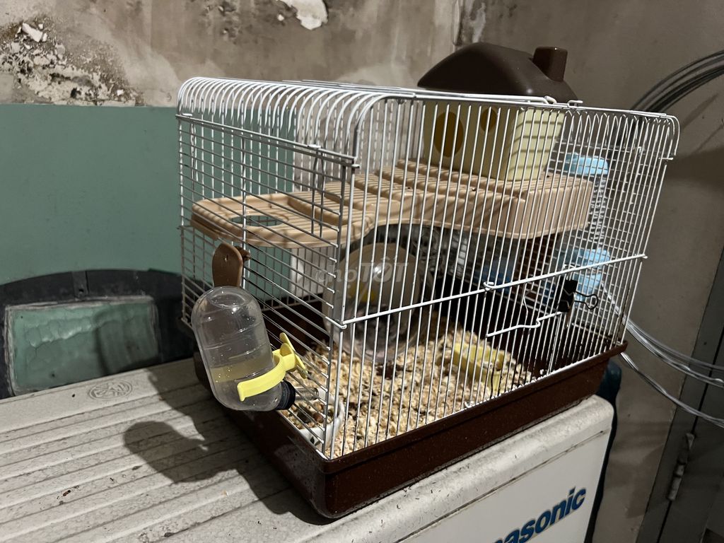PASS Hamter 1 con Bear 1 con Robo 2 lồng đủ phụ k. Mua bán Thú cưng khác tại Thành phố Biên Hòa Đồng Nai được đăng bởi Quynh Nhat hình 3