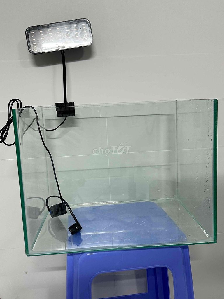 Hồ cá. Mua bán Phụ kiện, Thức ăn, Dịch vụ tại Quận Cái Răng Cần Thơ được đăng bởi Tuấn hình 1