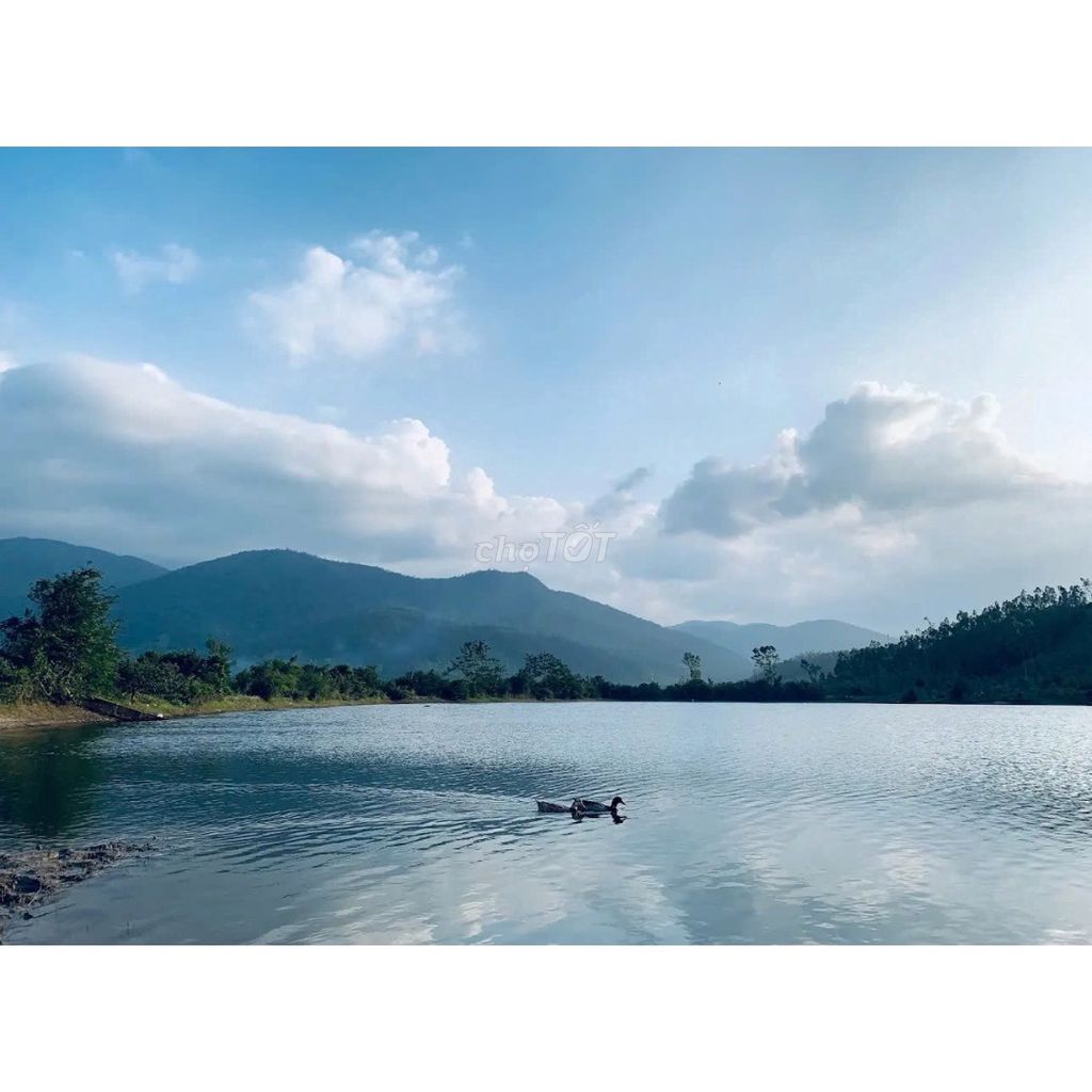 Cần bán gấp 2ha đất ven hồ - phù hợp nông nghiệp & du lịch sinh thái Cần bán gấp 2ha đất ven hồ - phù hợp nông nghiệp & du lịch sinh thái