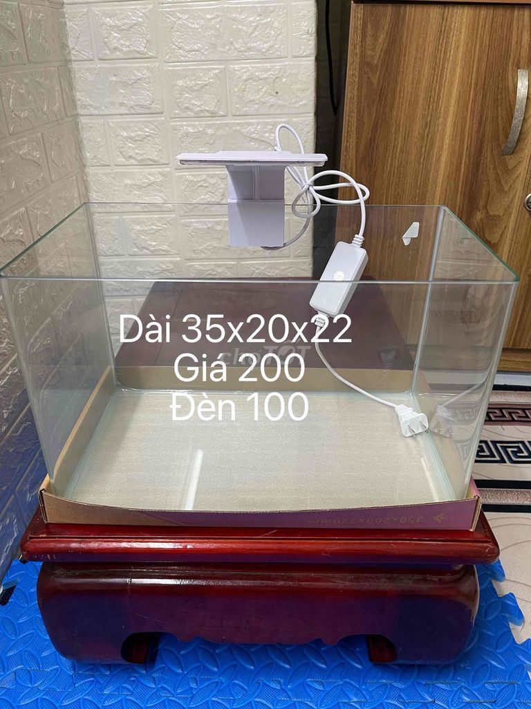 Bể cá cảnh Kính 35x20x22 cm. Mua bán Phụ kiện, Thức ăn, Dịch vụ tại Quận Hoàn Kiếm Hà Nội được đăng bởi nguyên ngoc long hình 1