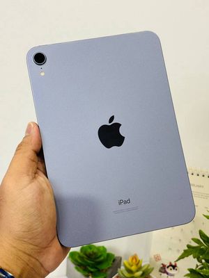 Xác iPad Mini 6 256GB WIFI | Hư Màn Hình | Chuẩn F. Mua bán Máy tính bảng tại Quận Gò Vấp Tp Hồ Chí Minh được đăng bởi LAPTOPDIENTHOAI VN