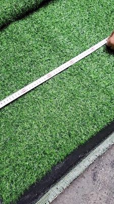 Thảm cỏ nhân tạo giá rẻ (combo 2m2,4m2,6m2)