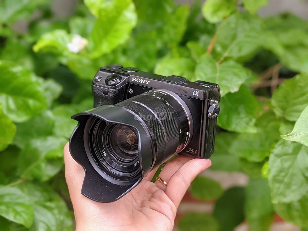 [Máy ảnh KTS] Sony Nex 7 kèm lens 18-55MM. Mua bán Máy ảnh, Máy quay tại Quận 6 Tp Hồ Chí Minh được đăng bởi may anh KTS hình 1