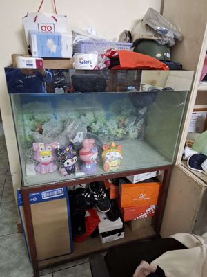 Hồ cá kính trong suốt đơn giản. Mua bán Phụ kiện, Thức ăn, Dịch vụ tại Quận Ngũ Hành Sơn Đà Nẵng được đăng bởi Mai Văn Hội