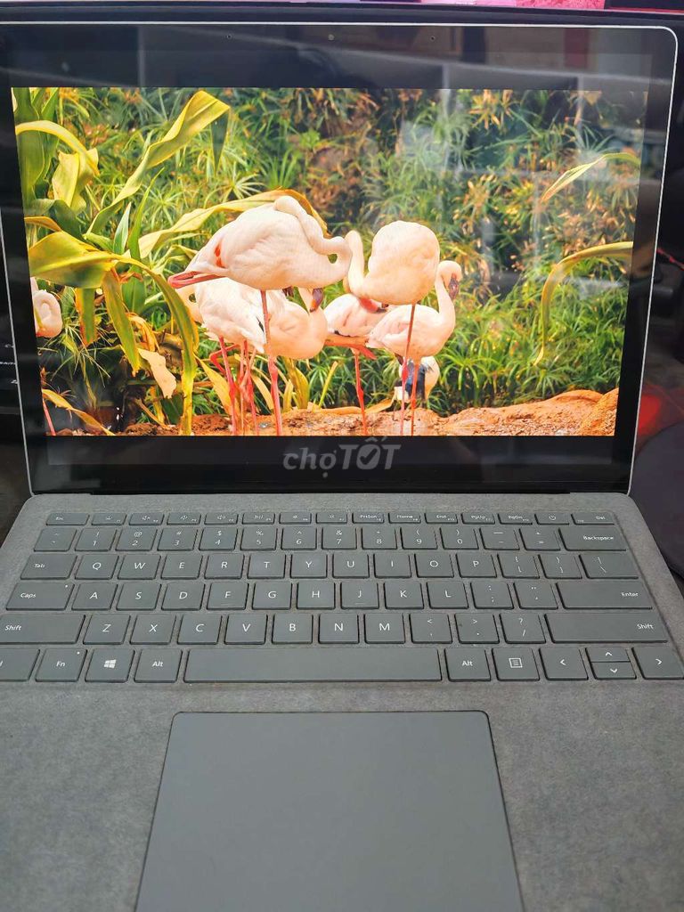 Microsoft Surface Laptop 3 i5 8GB/128GB. Mua bán Laptop tại Thành phố Đà Lạt Lâm Đồng được đăng bởi Bảo hình 1