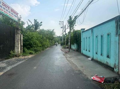Đất 730 m² · Phạm Tấn Mười
