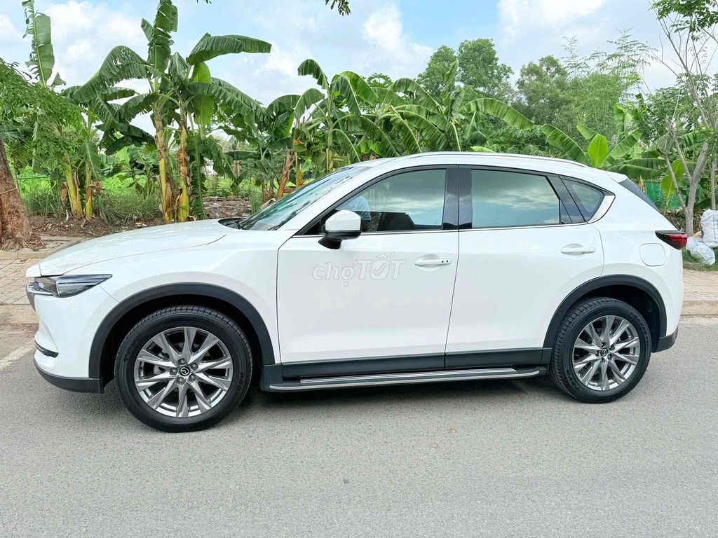 Ảnh số 7