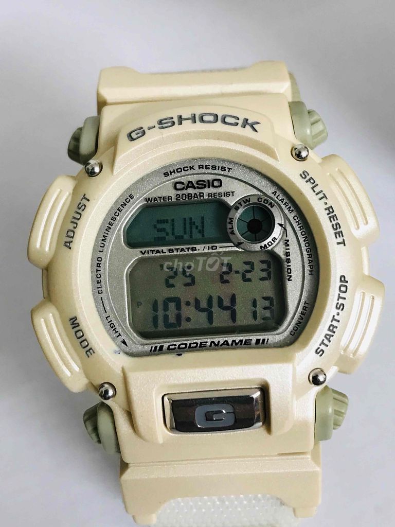 Casio DW-8800 Alaska