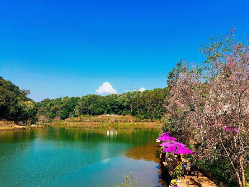 Cho thuê view hồ Dak Ke , thị trấn Măng Đen - Kon Tum