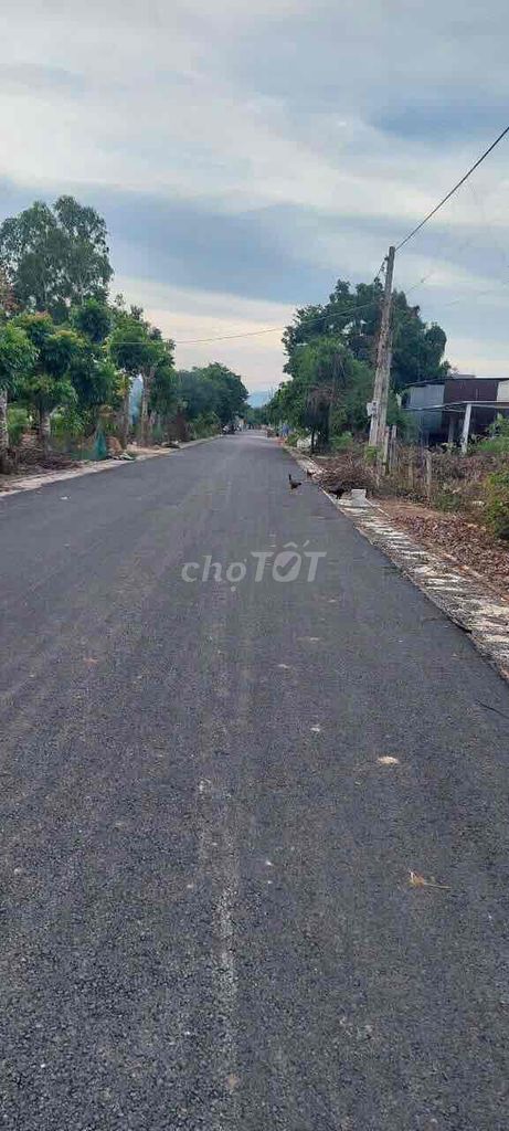 Có lô hơn 5 sào An Ngãi, Long Điền sẵn 320m2 thổ cư 56m mặt tiền nhựa. Mua bán Đất tại Huyện Long Điền Bà Rịa - Vũng Tàu được đăng bởi Châu Trinh hình 4
