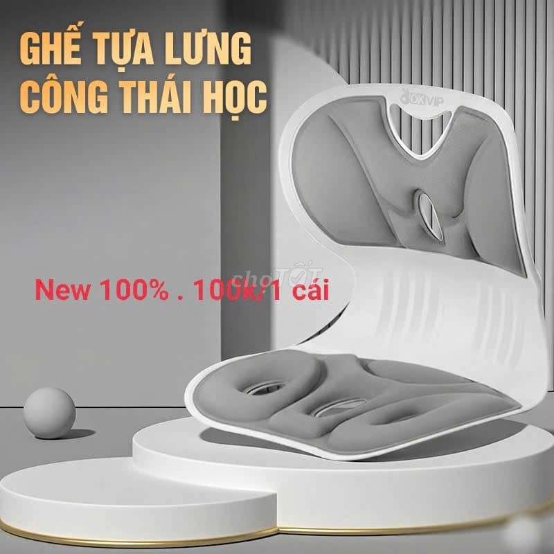 Ghế tựa lưng nhựa vải công thái học. Mua bán Bàn ghế tại Quận Tân Phú Tp Hồ Chí Minh được đăng bởi Lê Minh Hằng  hình 1