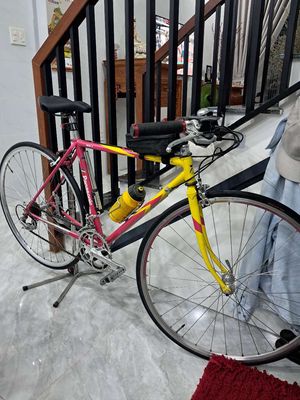 Xe đạp thể thao tự lắp ráp linh kiện chính hãng. Mua bán Xe đạp tại Thành phố Thủ Đức Tp Hồ Chí Minh được đăng bởi Trần Bảo